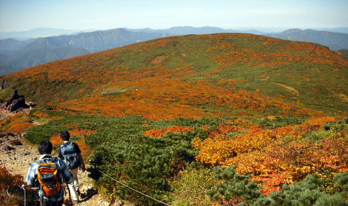 紅葉と緑の絨毯に覆われた栗駒山