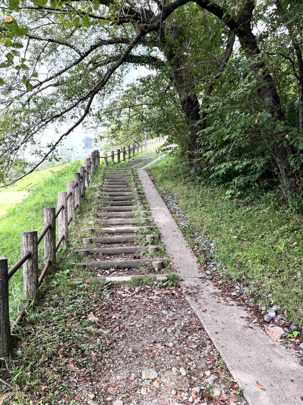 公園に向かう階段