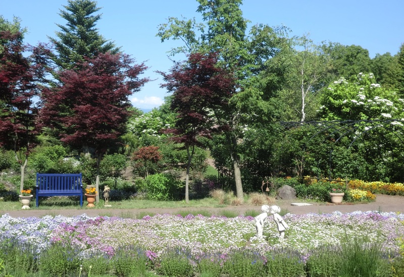 サラダファーム