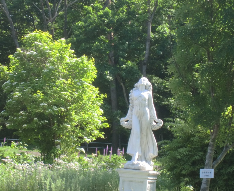 サラダファーム