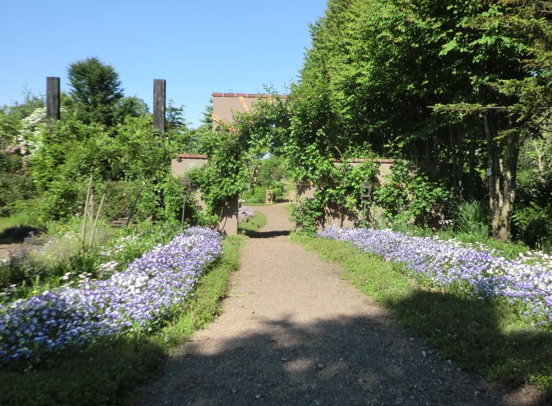 サラダファーム