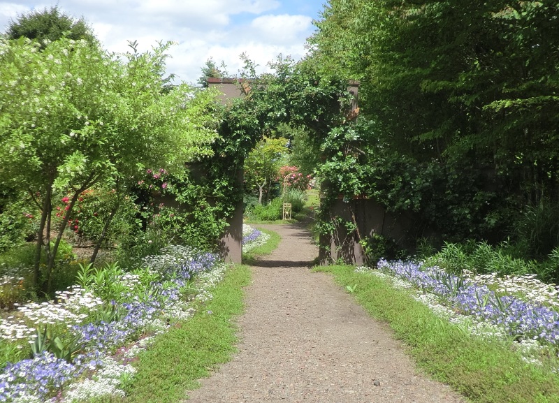 サラダファーム