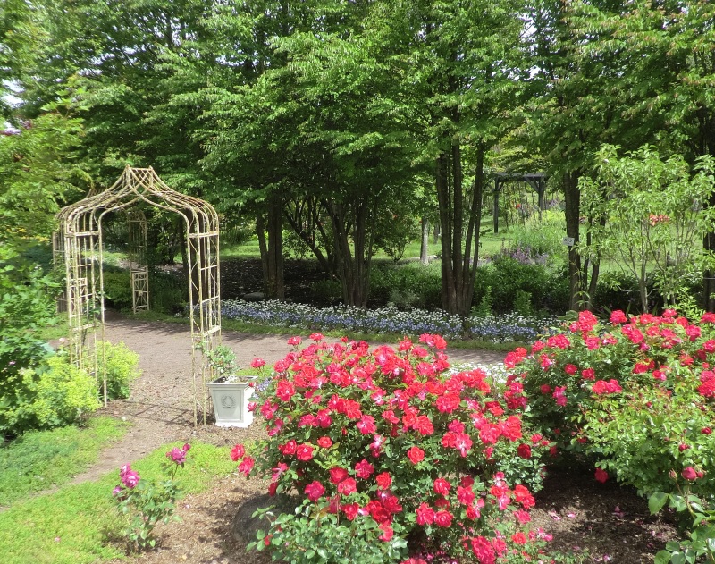 サラダファーム