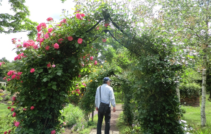 サラダファーム