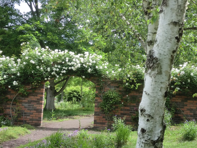 サラダファーム