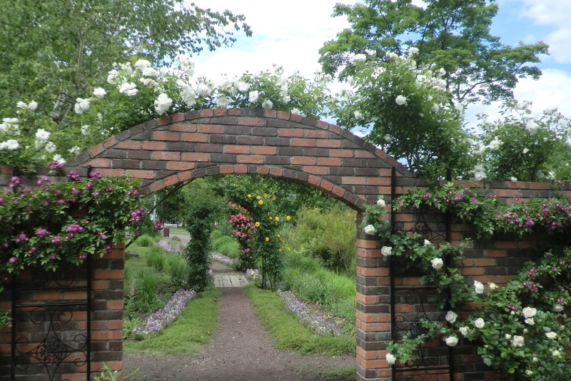 サラダファーム