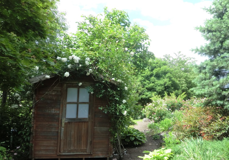 サラダファーム