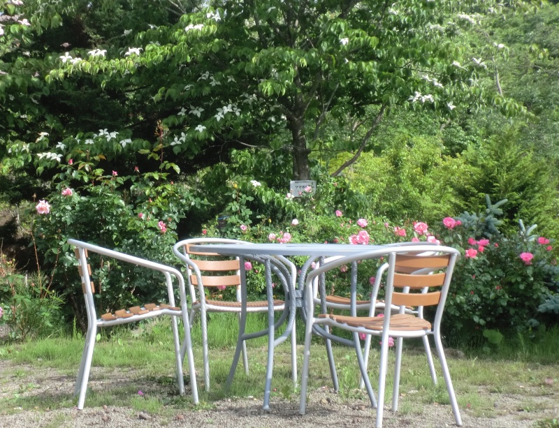 サラダファーム