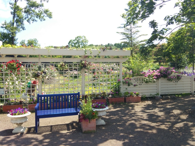 サラダファーム