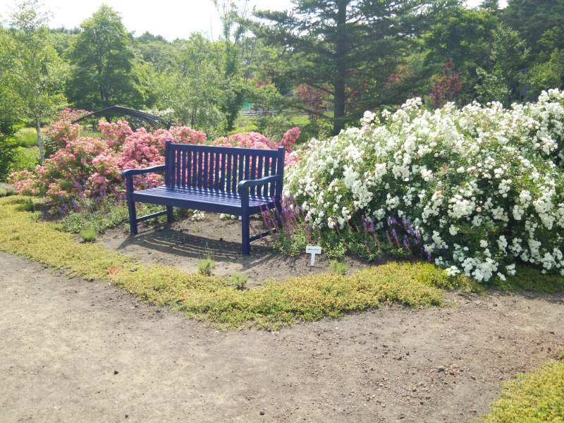 サラダファーム