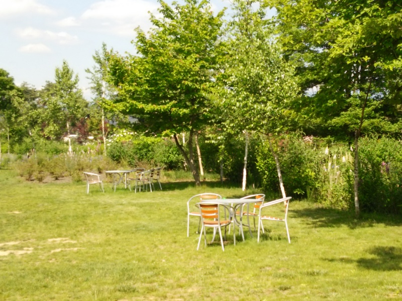 サラダファーム