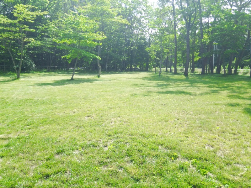 サラダファーム