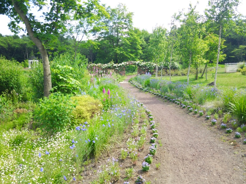 サラダファーム