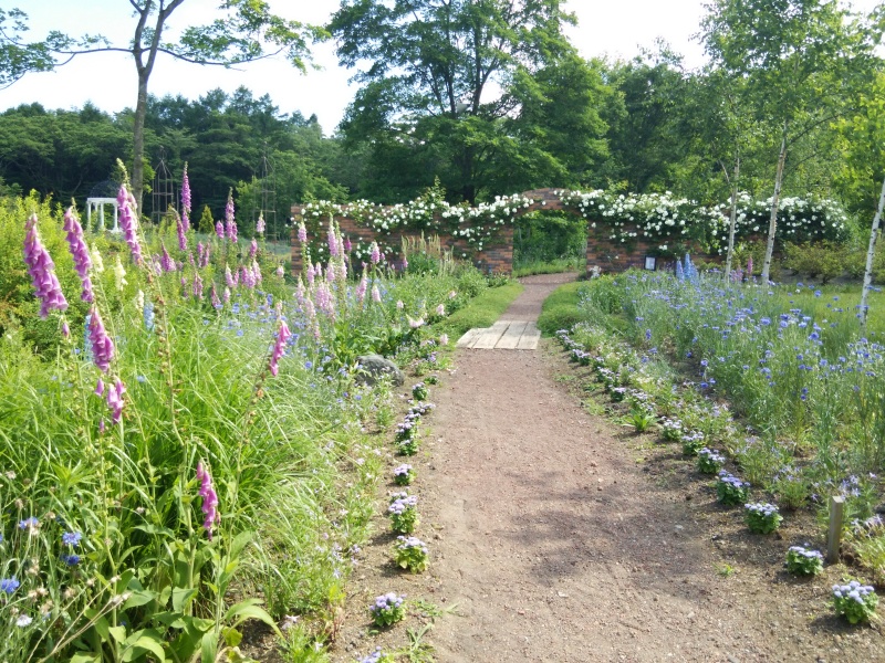 サラダファーム