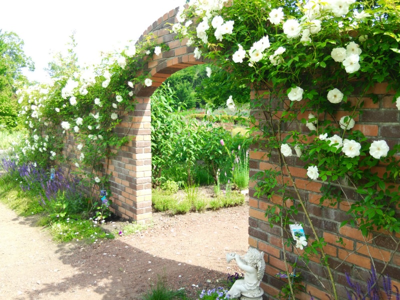 サラダファーム