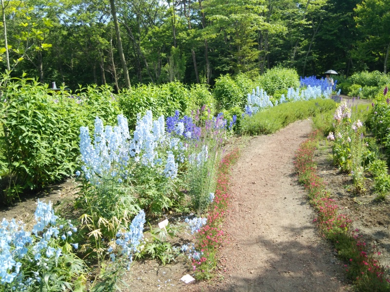 サラダファーム