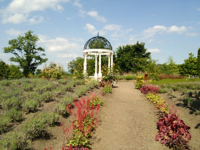 サラダファーム