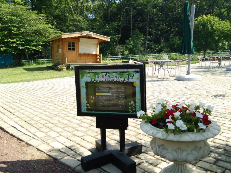 サラダファーム