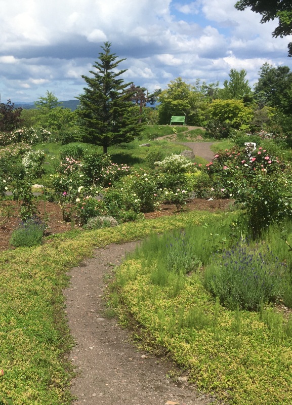 サラダファーム