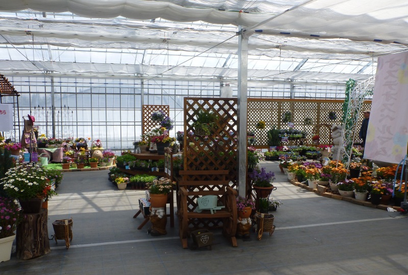 サラダファーム