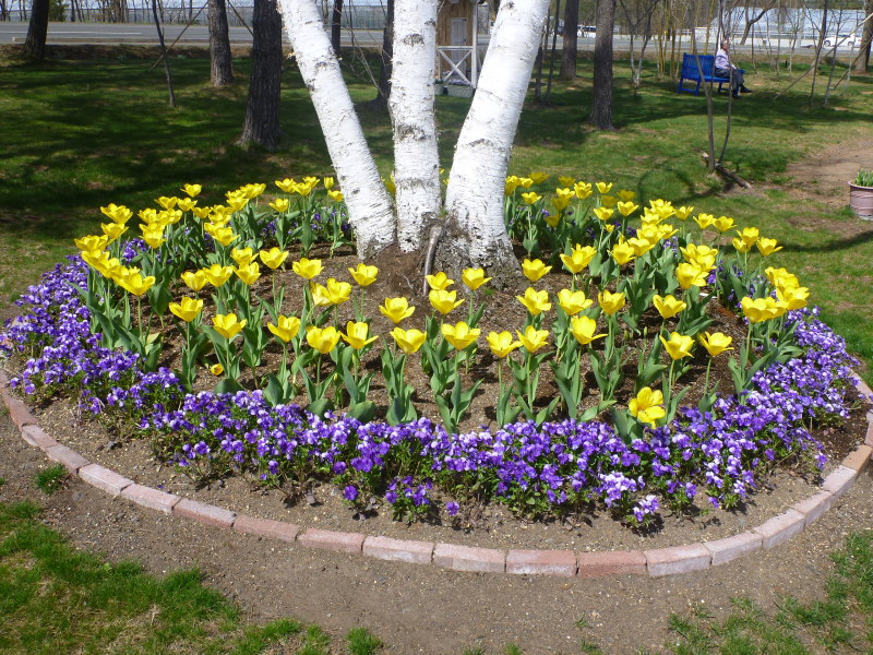 サラダファーム