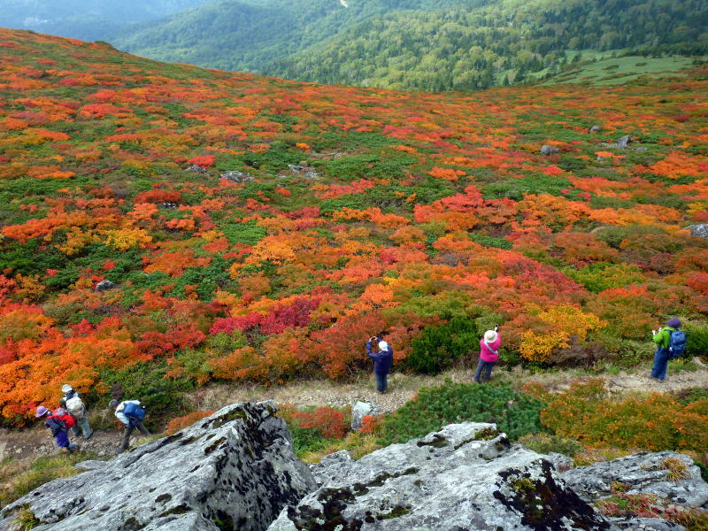 三ツ石山の紅葉